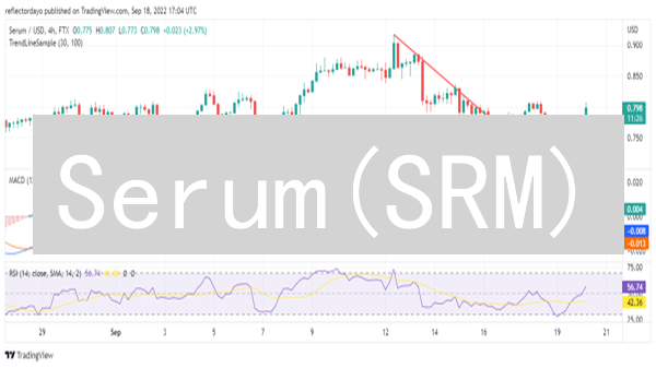 Serum(SRM)：掘金Solana DeFi，新手交易策略全攻略！