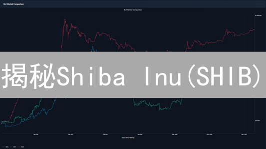 揭秘Shiba Inu(SHIB)：下一个财富神话？错过悔终身！