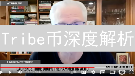 Tribe币深度解析：DAO治理能否引领DeFi新纪元？