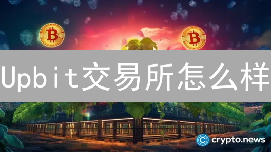 Upbit交易所怎么样？2024全面解读：交易品种、安全、监管合规