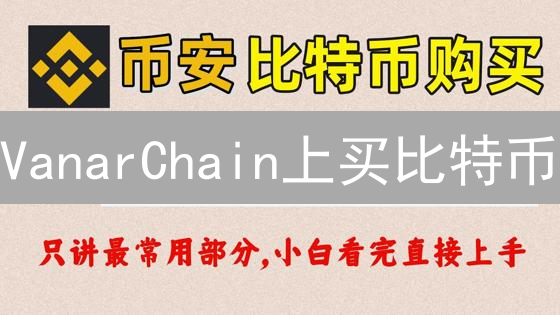 VanarChain上买比特币？探索间接获取的N种可能！