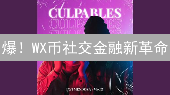 爆！WX币社交金融新革命：颠覆传统，错过后悔！
