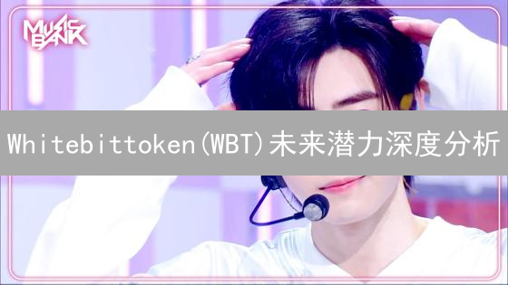 Whitebittoken(WBT)未来潜力深度分析