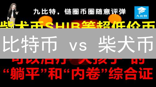比特币 vs 柴犬币：颠覆者还是昙花一现？投资者必读！